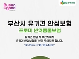 부산시, 유기견 입양 시 1년간 펫보험 무료 지원… 질병·상해·배상 보장