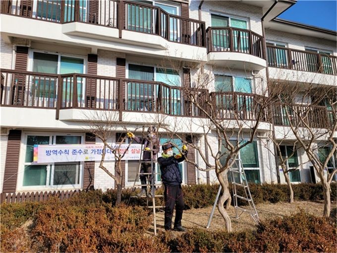 산림자원연구소 수목 전정 재능기부