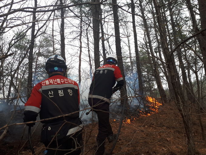 산불재난특수진화대가 산불을 진화하고 있는 모습
