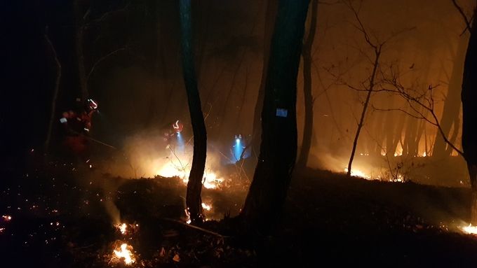 (참고)산림항공본부 공중진화대 산불진화