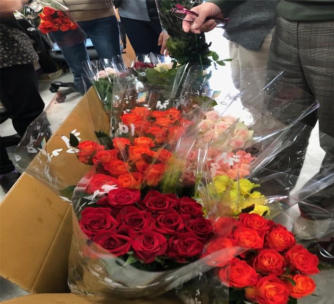 전남도청 화훼 농가돕기 판매사진