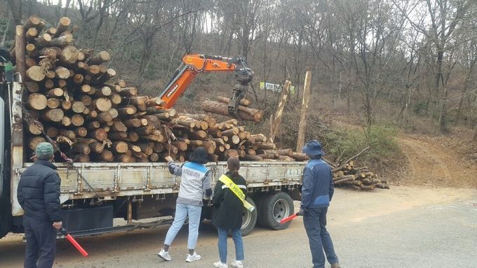 재선충병 확산 방지