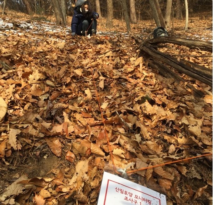 산림토양
