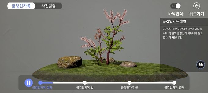 북방계식물가상전시원_금강인가목