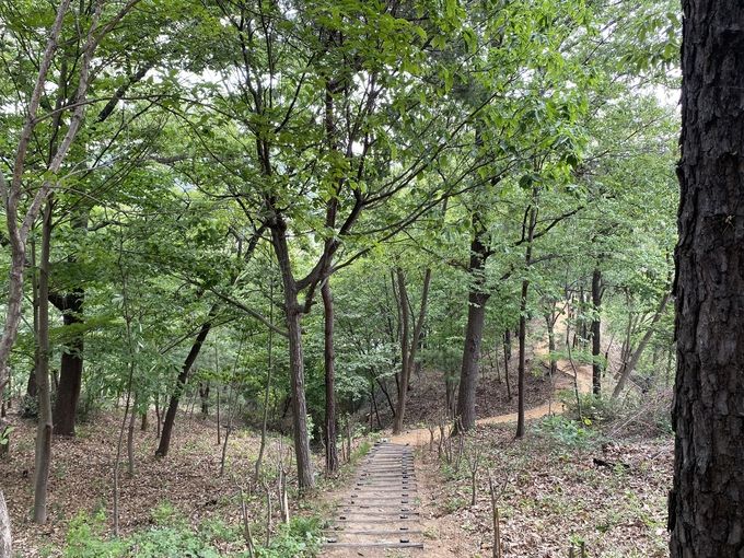 국민의 숲 특화사업 관련 사진