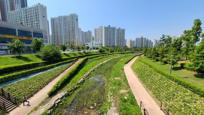 가마지천 산책로 ‘걷고 싶은 꽃길’ 조성 완료
