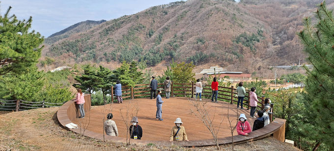 숲명상(국립산림치유원)