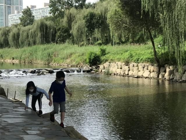 양재천