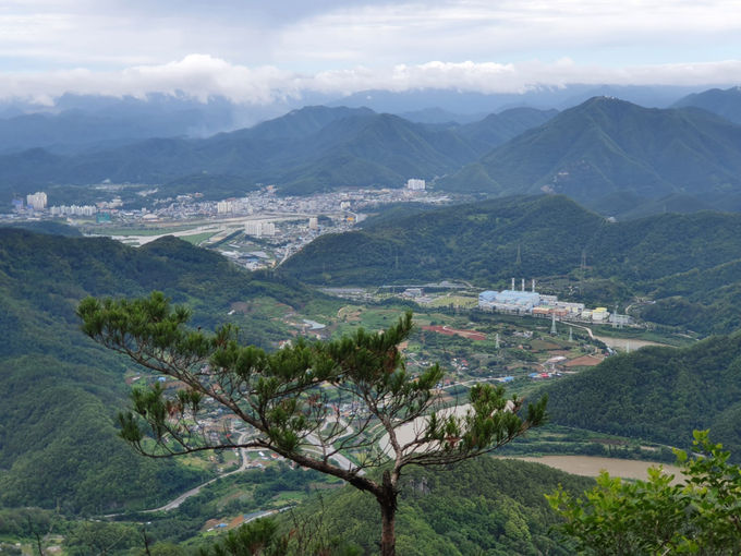 9월의 국유림 명품숲, 영월 태화산 경관숲1
