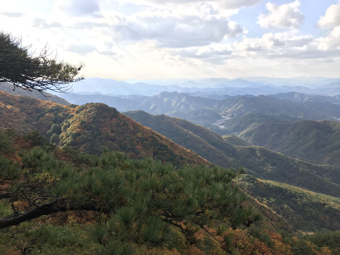 9월의 국유림 명품숲, 영월 태화산 경관숲