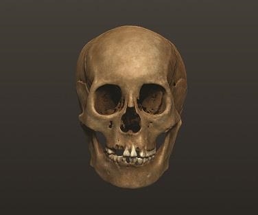 그림입니다.

원본 그림의 이름: 1.jpg

원본 그림의 크기: 가로 376pixel, 세로 313pixel

사진 찍은 날짜: 2019년 09월 02일 오후 5:17

프로그램 이름 : Adobe Photoshop CS5 Windows

EXIF 버전 : 0221
