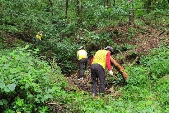 산림보호지원단이 산림에서 정화활동을 하고 있다