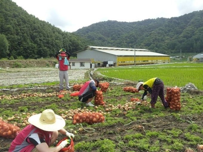 경상북도 의성군