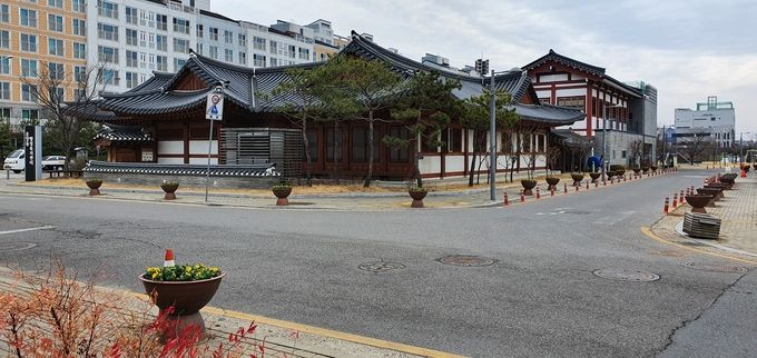 운양동새마을회 봄꽃 식재