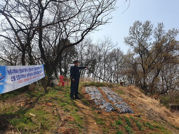 안산시, 논·밭두렁 불법소각 집중단속…‘산불예방 총력’