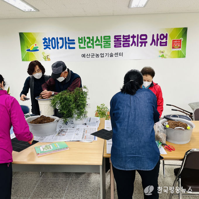 찾아가는 반려식물 돌봄치유 사업 분갈이 실습진행 모습