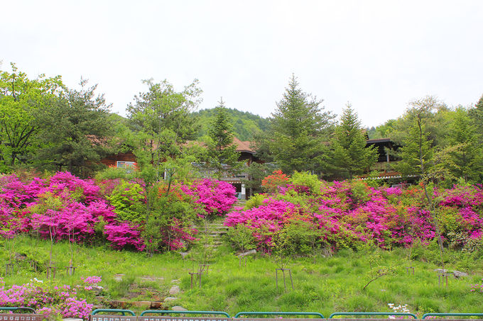 국립청태산자연휴양림(강원도 횡성) 의 모습입니다