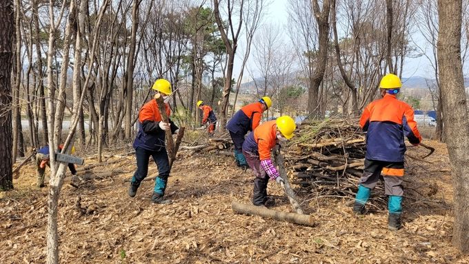 미이용 산림바이오매스 수집단 산물 및 땔감 수집 모습(산림자원과)
