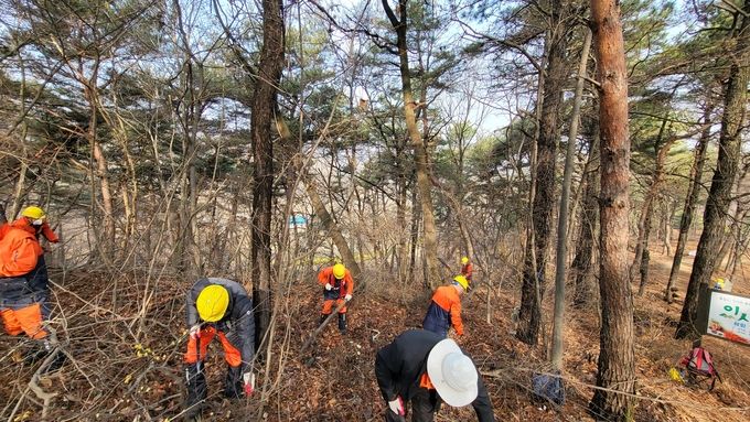 산불예방 특별대책 관련 임지 내 산물 수집 및 제거 모습(산림자원과)