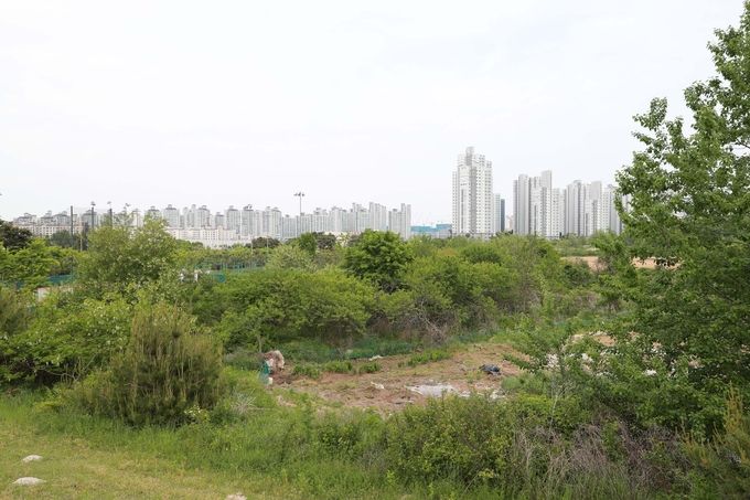 내포신도시 종합병원부지
