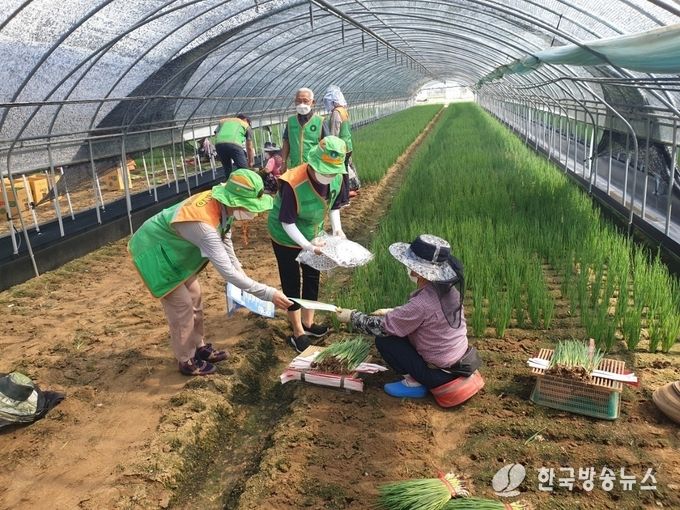 예산군 자율방재단 영농예찰 사진