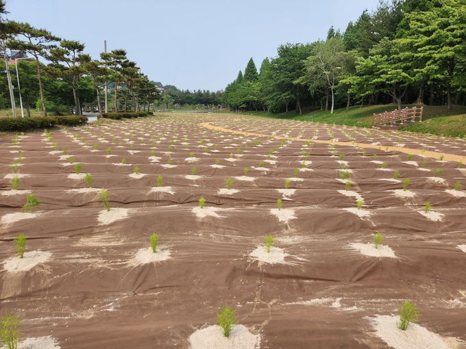생활환경숲 댑싸리원 전경