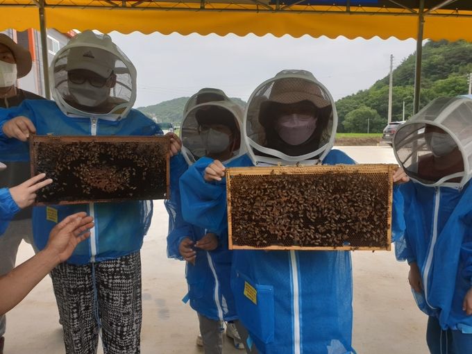 양봉프로그램 사진