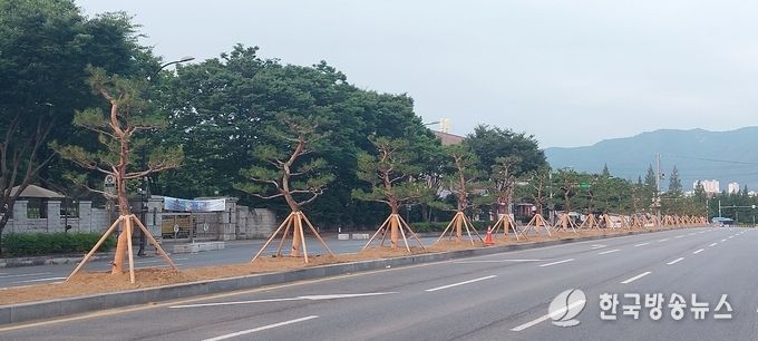 경산시- 경산시, 주요 관문 중앙분리화단 개선 공사 시행