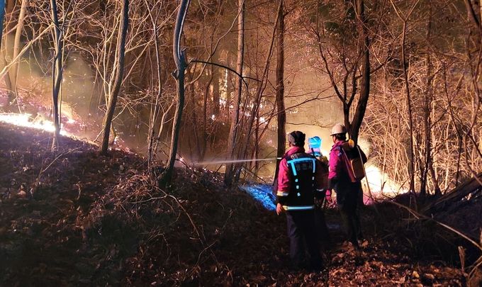 영천시 공무원, 울진 산불 피해 현장 인력지원 사진