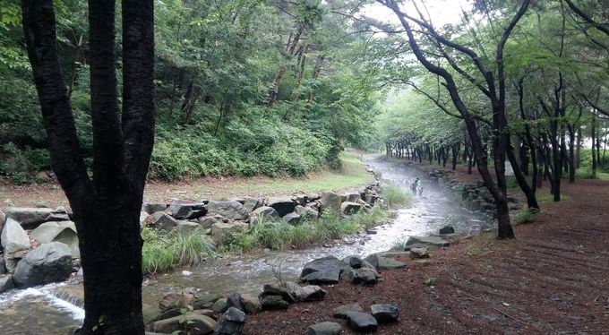 국유림 명품숲(희리산 해송 숲)