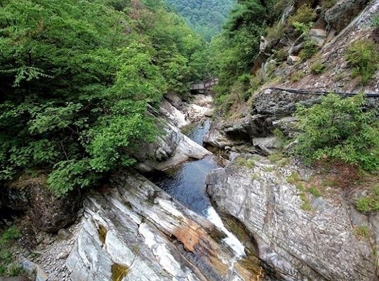 국유림 명품숲(소백산 천동계곡 숲)