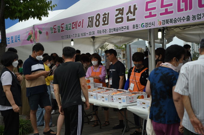 경산시, 복숭아 직거래장터 제8회 도도데이 개최