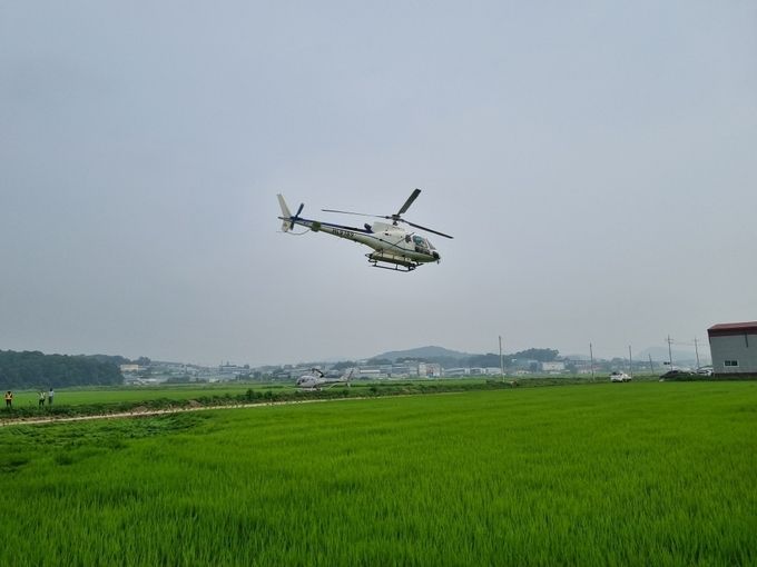 대곶면 항공방제 관련사진