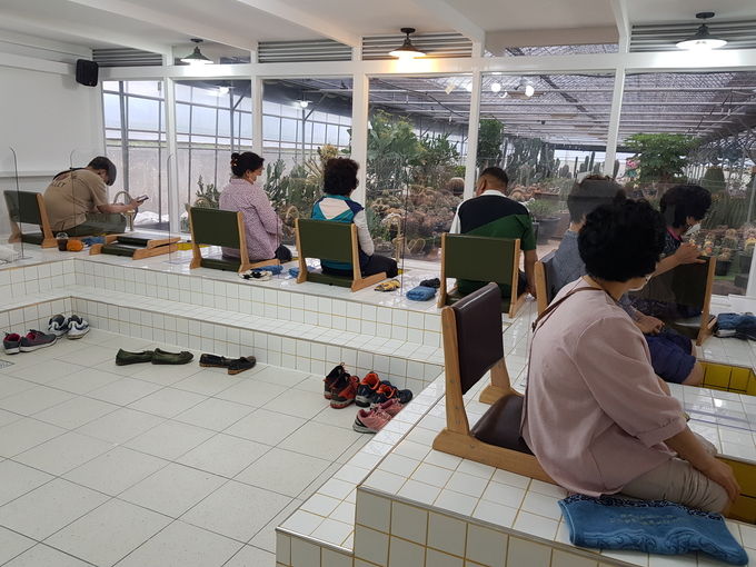 농기원여름휴가 논산 청유리원 명상치유체험