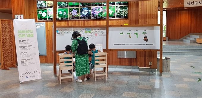 체험존공간활동_나비의 한 살이