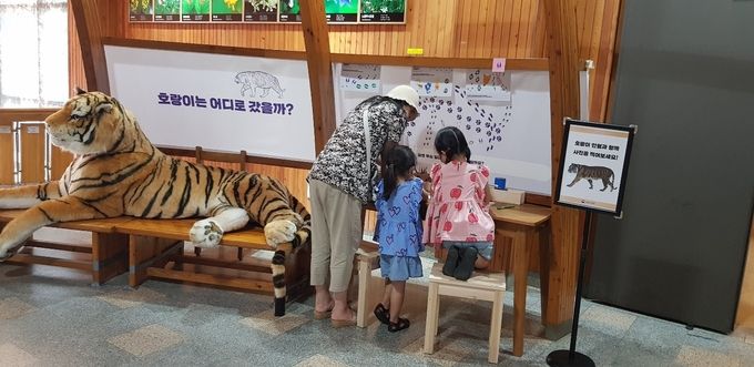 체험존공간활동_호랑이는 어디로 갔을까