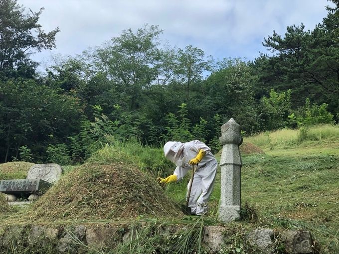 묘소벌집제거