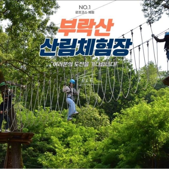 부락산산림체험장 산림레포츠 행사 개최