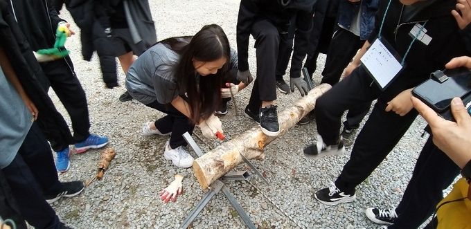 숲가꾸기 체험