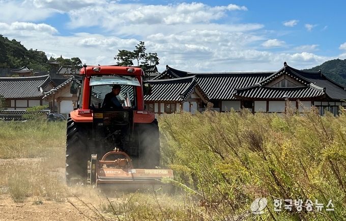 (사진) 영천 한약과일 축제 부지정비 작업.jp