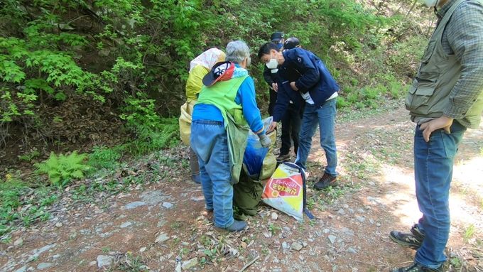 (관련사진) 가을철 산림 내 불법행위 단속
