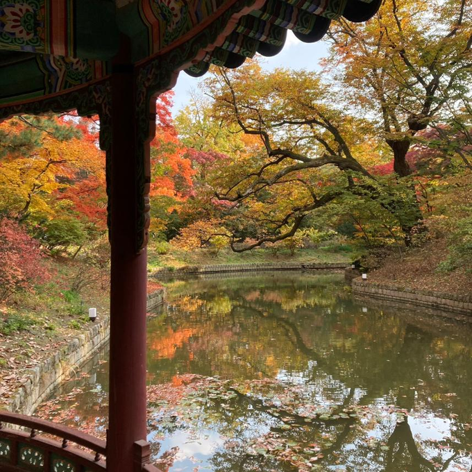  창덕궁 관람정 전경