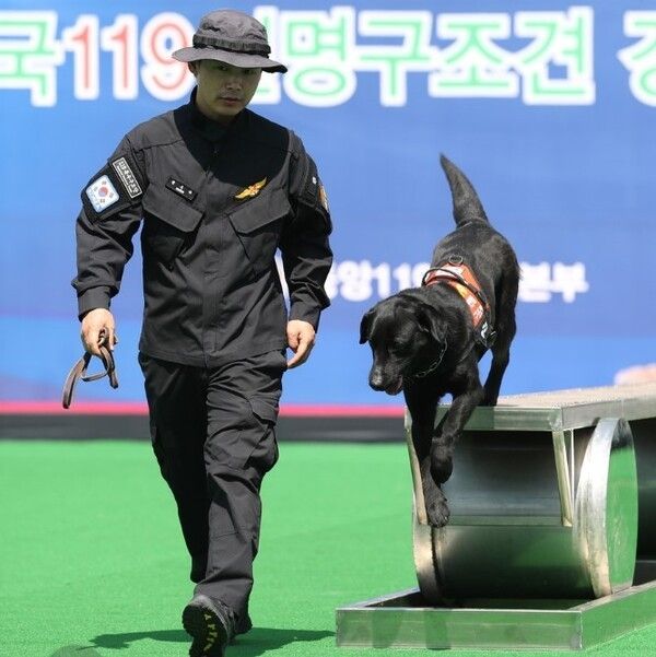조련사로부터 훈련을 받고 있는 119 구조견. (중앙119구조본부 제공)