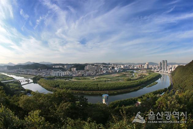 태화강 국가정원 모습