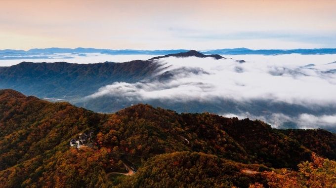 팔공산 (사진=경북도 제공)