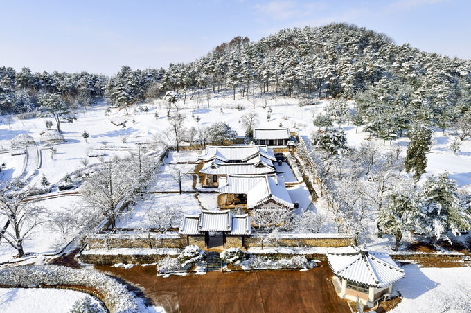 추사고택 겨울 풍경