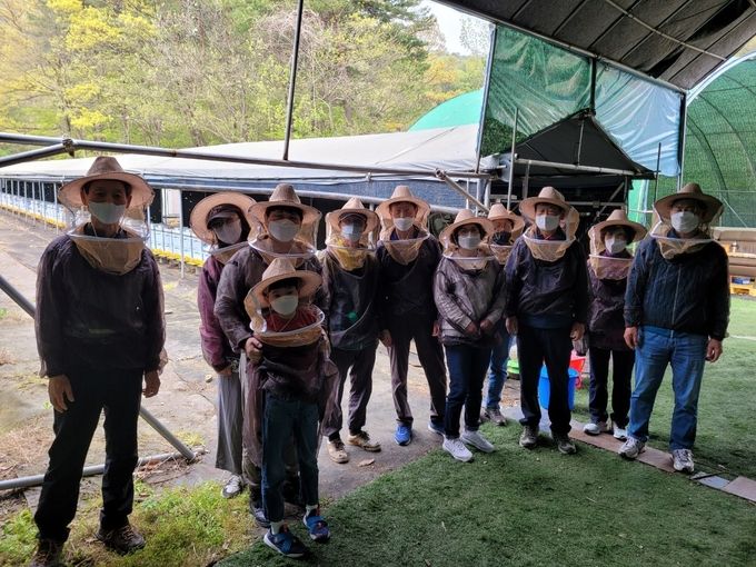 꿀떨어지는 양봉체험