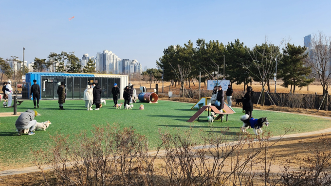 달빛공원 도그파크