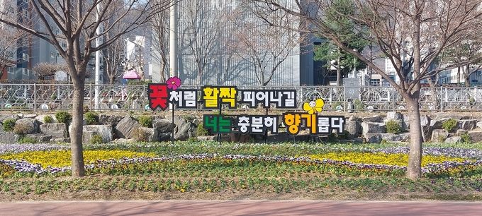 경산시- 꽃향기 가득한 봄꽃 어울림 꽃화단 재탄생