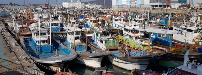 어선 안전점검 관련 사진